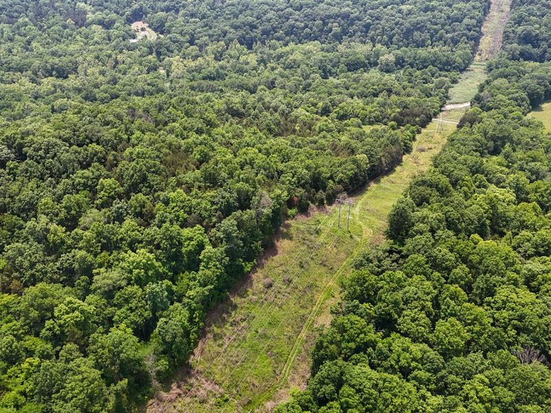 0 Big Twin Creek Road, Worthville, KY 41098 Photo 21