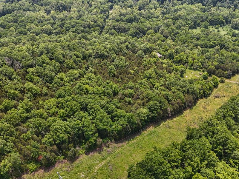 0 Big Twin Creek Road, Worthville, KY 41098 Photo 22