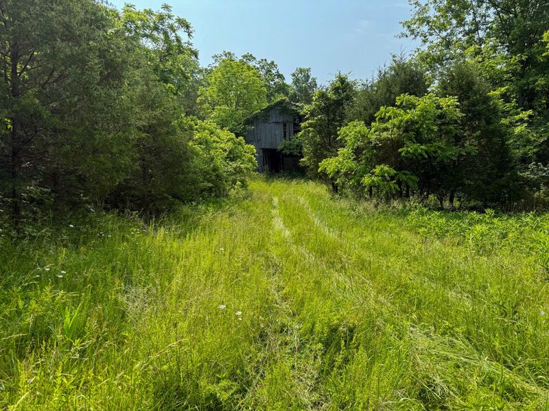 0 Big Twin Creek Road, Worthville, KY 41098 Photo 24