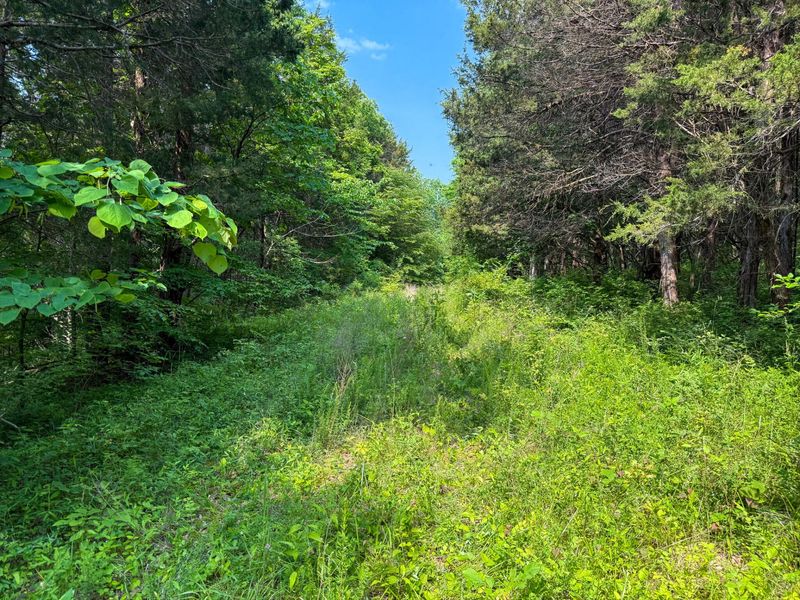 0 Big Twin Creek Road, Worthville, KY 41098 Photo 27