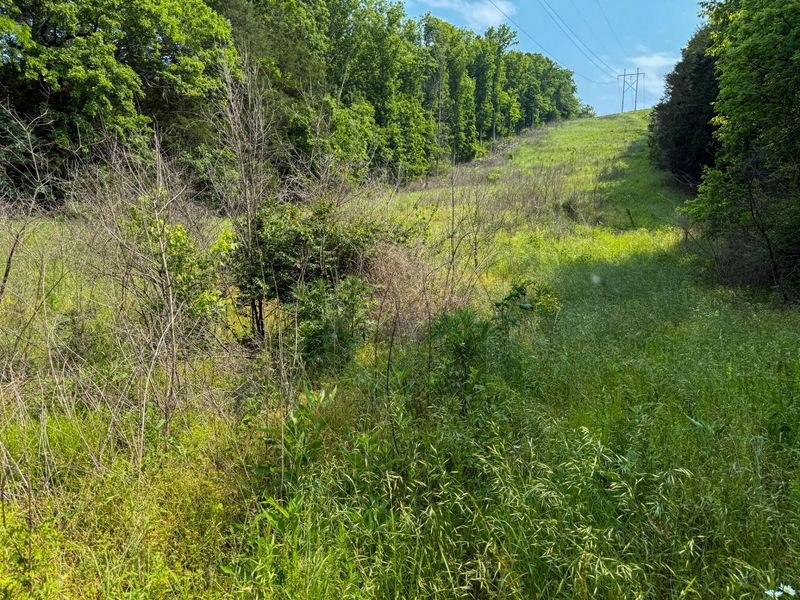 0 Big Twin Creek Road, Worthville, KY 41098 Photo 29