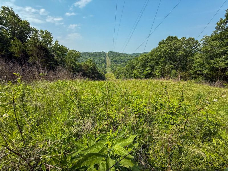 0 Big Twin Creek Road, Worthville, KY 41098 Photo 30
