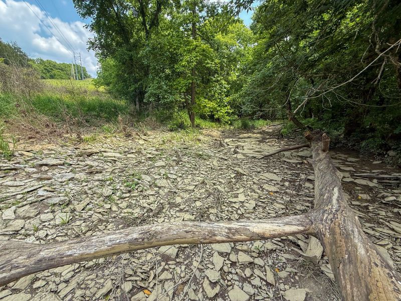 0 Big Twin Creek Road, Worthville, KY 41098 Photo 31