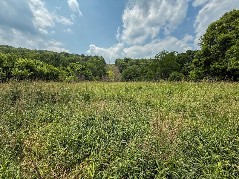 0 Big Twin Creek Road, Worthville, KY 41098 Photo 32