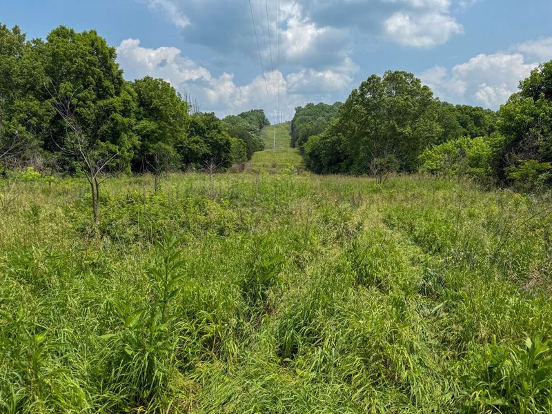 0 Big Twin Creek Road, Worthville, KY 41098 Photo 33