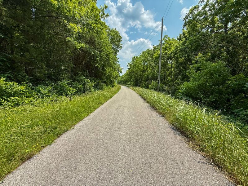 0 Big Twin Creek Road, Worthville, KY 41098 Photo 34