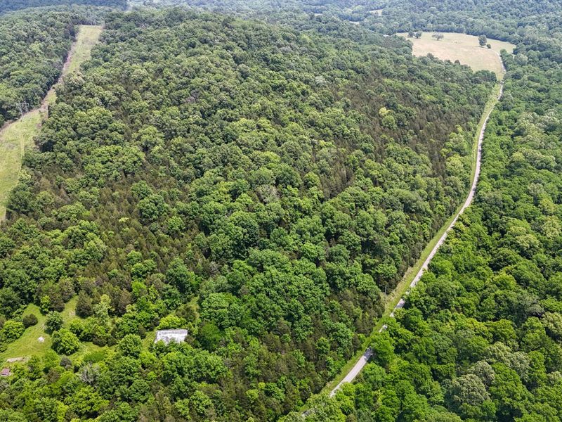 0 Big Twin Creek Road, Worthville, KY 41098 Photo 36