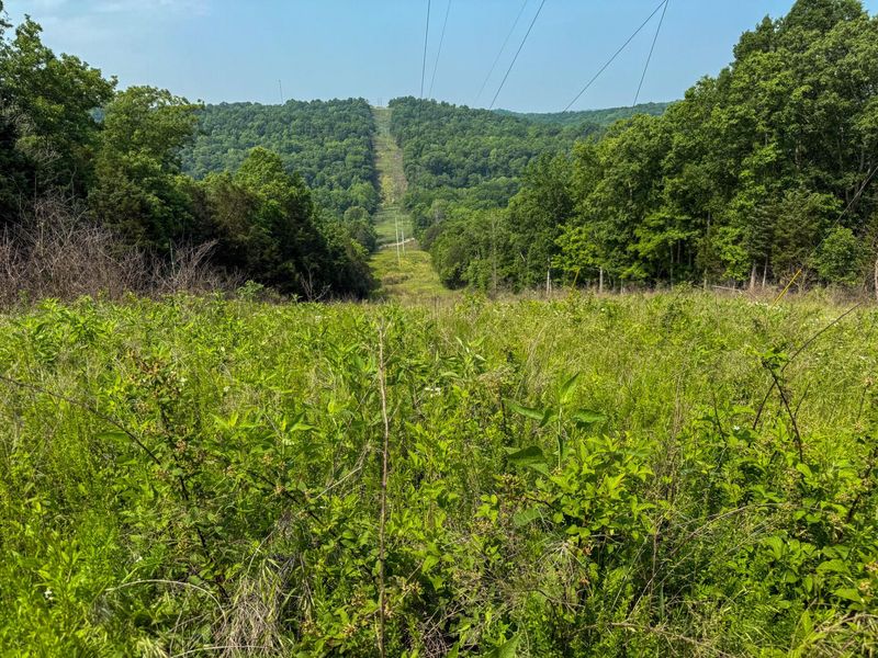 0 Big Twin Creek Road, Worthville, KY 41098 Photo 4