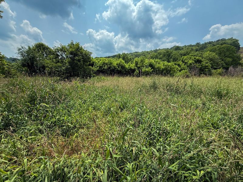 0 Big Twin Creek Road, Worthville, KY 41098 Photo 5
