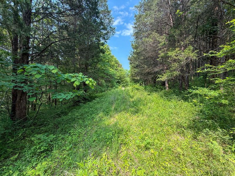 0 Big Twin Creek Road, Worthville, KY 41098 Photo 6
