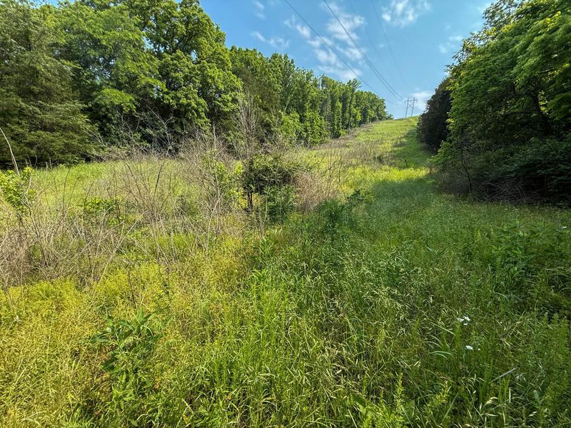 0 Big Twin Creek Road, Worthville, KY 41098 Photo 7