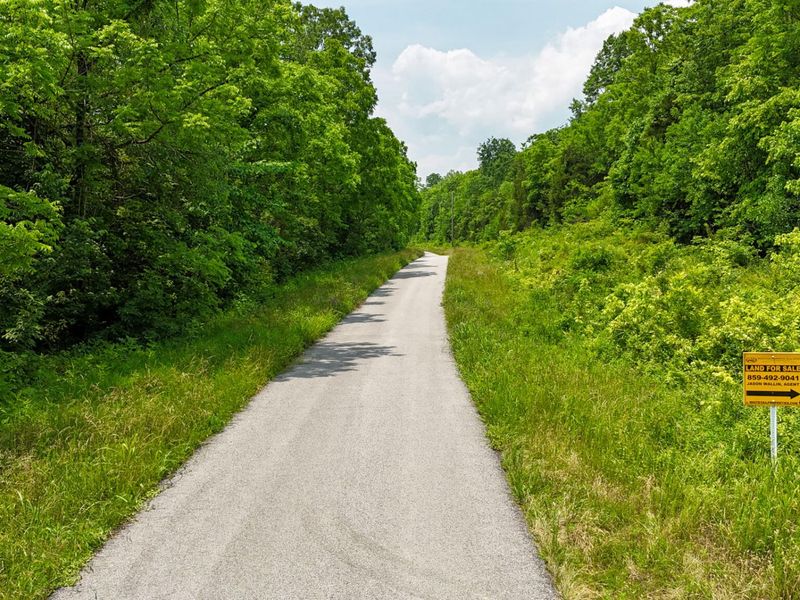 0 Big Twin Creek Road, Worthville, KY 41098 Photo 8