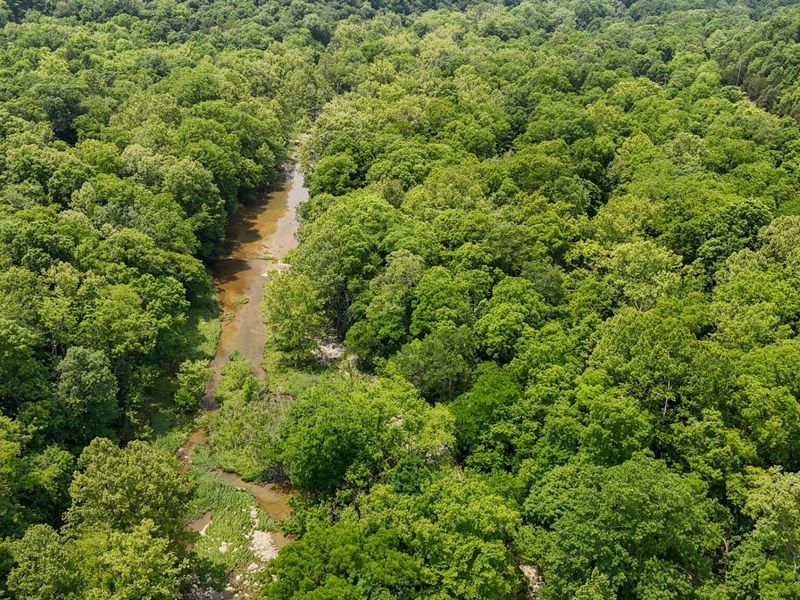 0 Big Twin Creek Road, Worthville, KY 41098 Photo 9