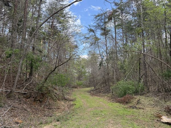 0 Allens Creek Rd , Hohenwald, TN 38462