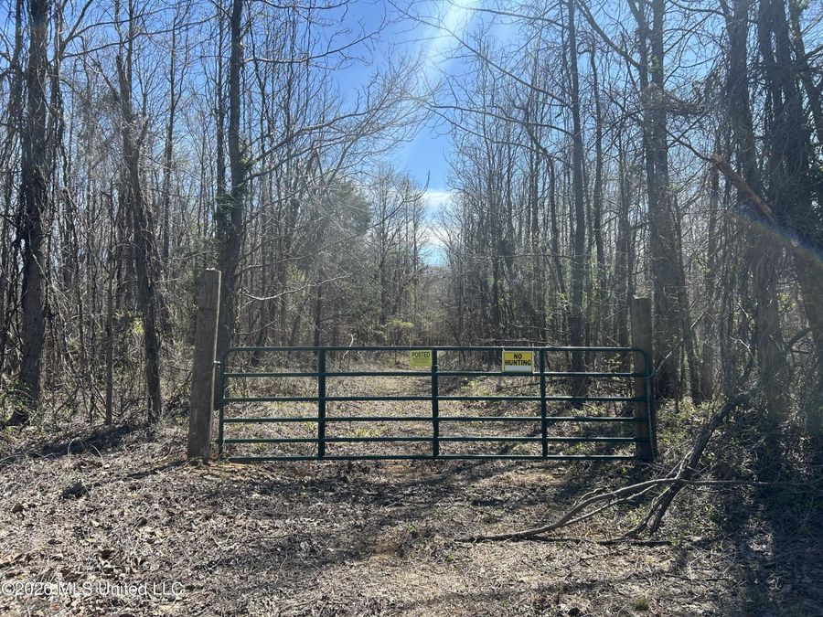 Property Image 7