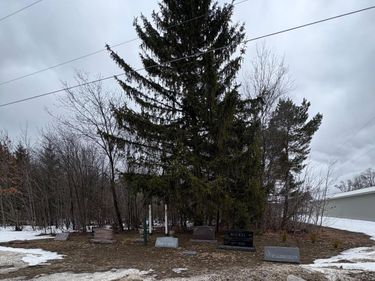 Cedar River Road, Mancelona, MI 49659