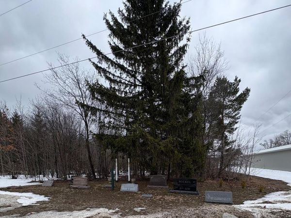 Cedar River Road, Mancelona, MI 49659