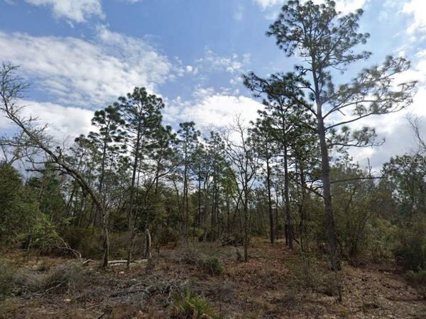 PARK STREET , INTERLACHEN, FL 32148