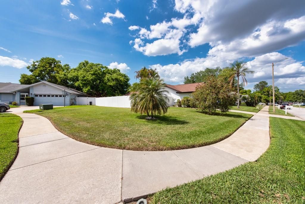2911 Lahlor Lane, Palm Harbor, FL 34684 Photo