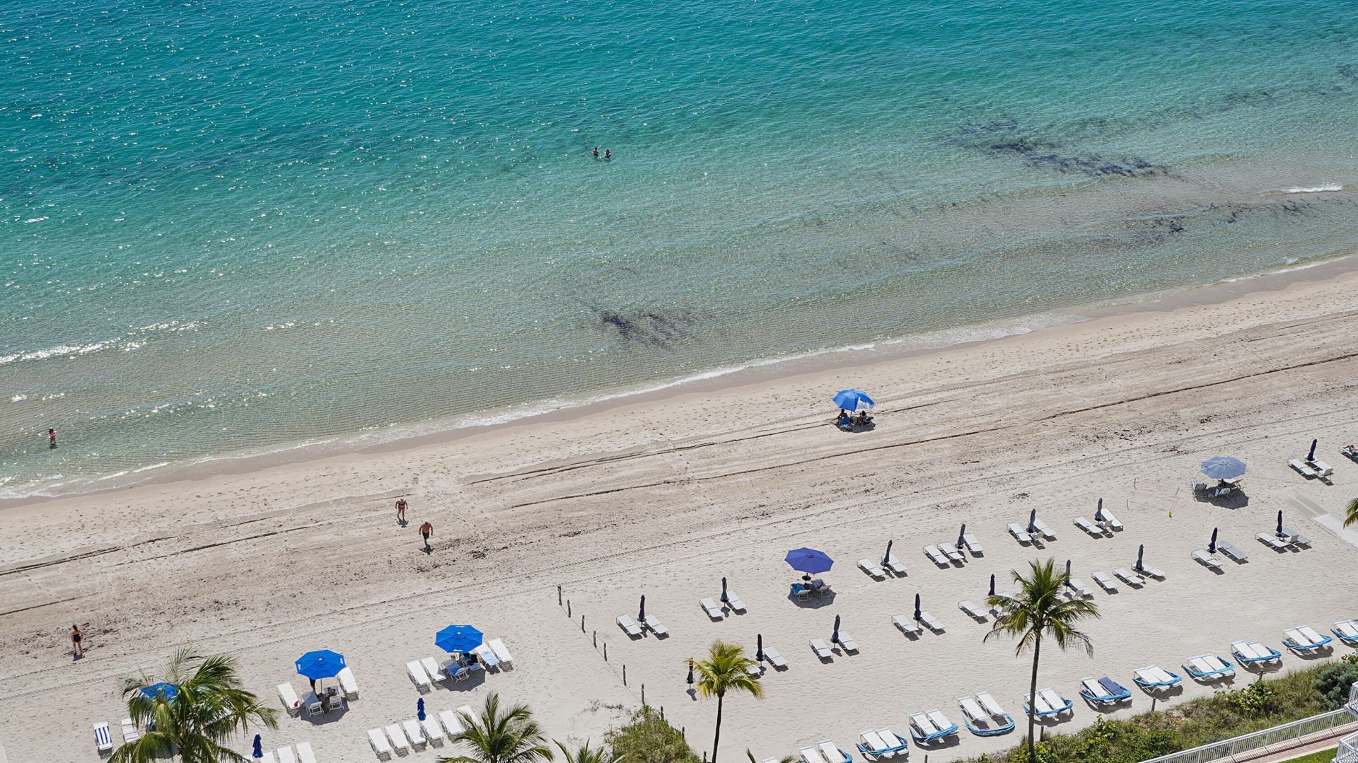 3900 Galt Ocean Drive, Unit 2204, Fort Lauderdale, FL 33308 Photo