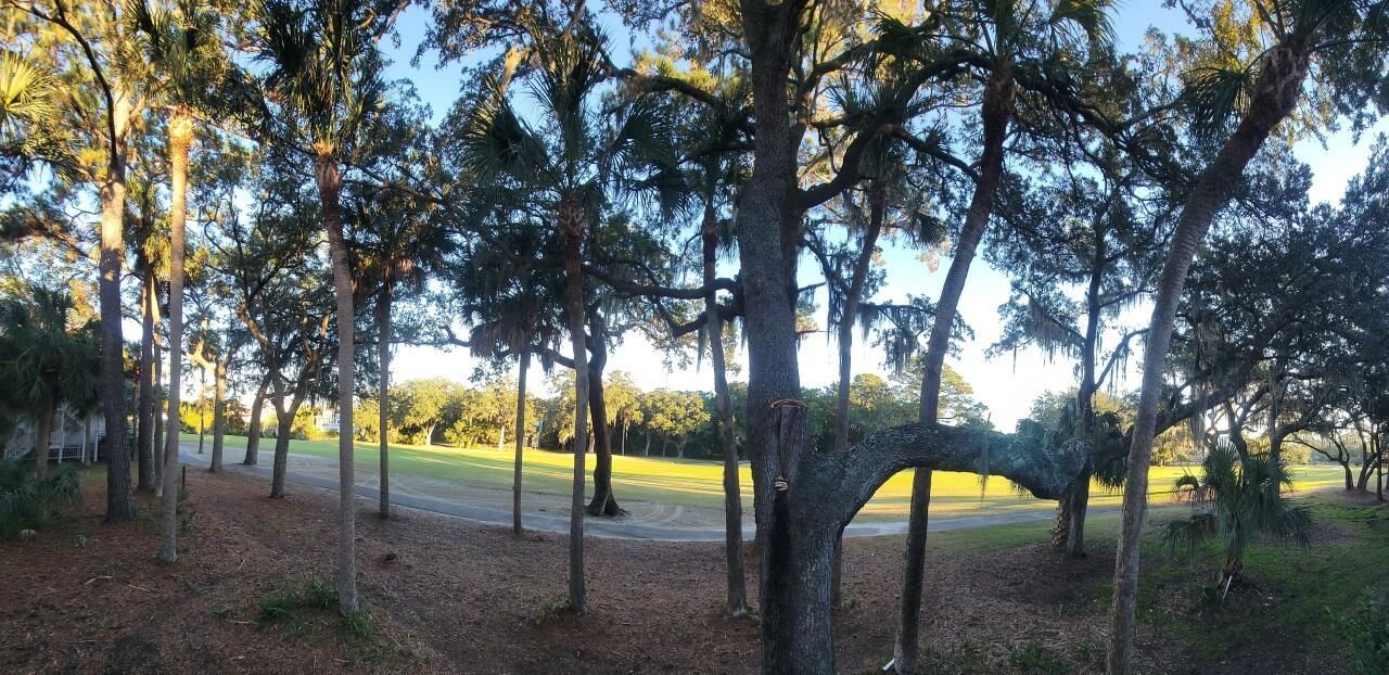 260 Driftwood Lane Photo 13