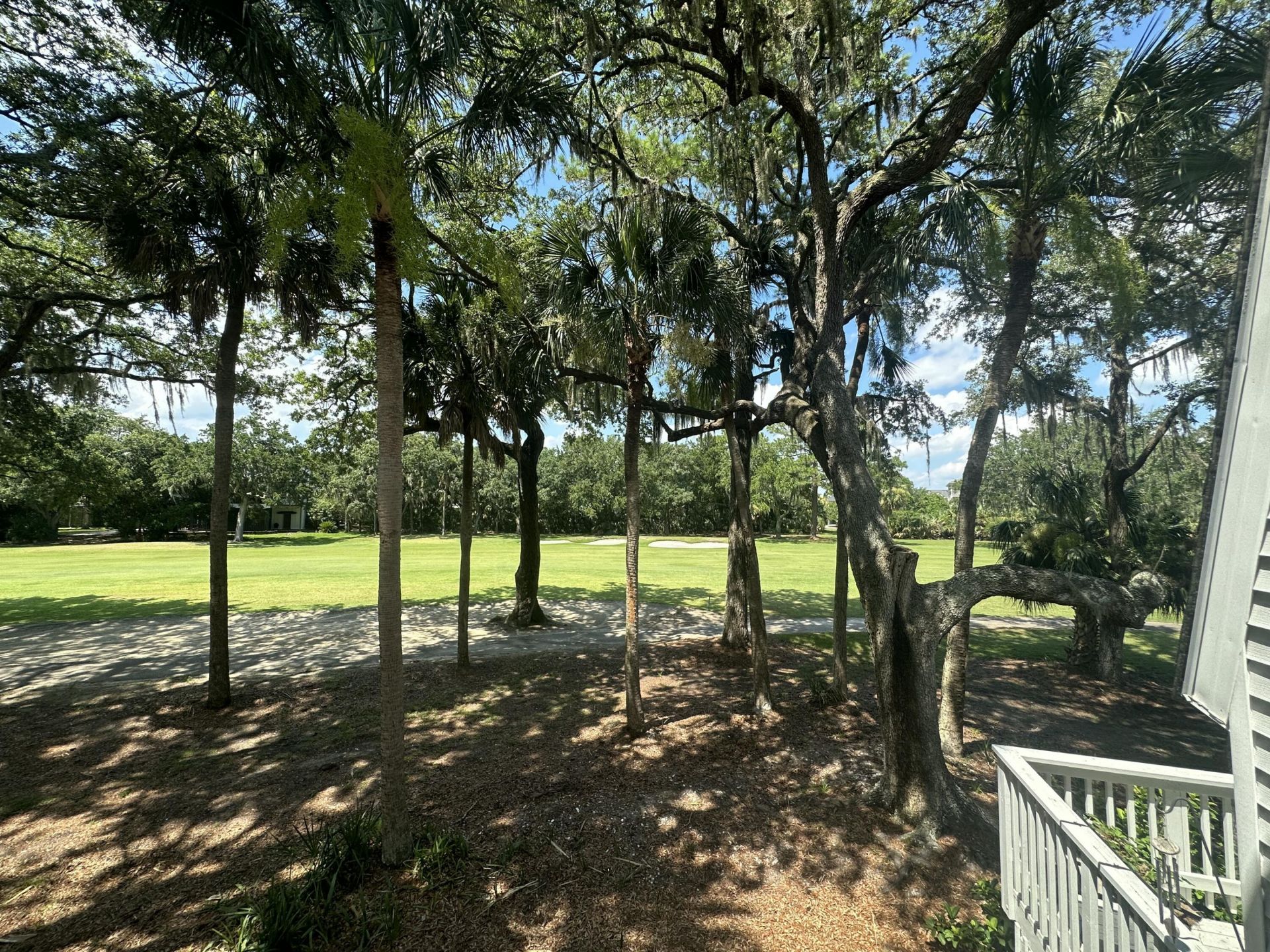 260 Driftwood Lane Photo 15