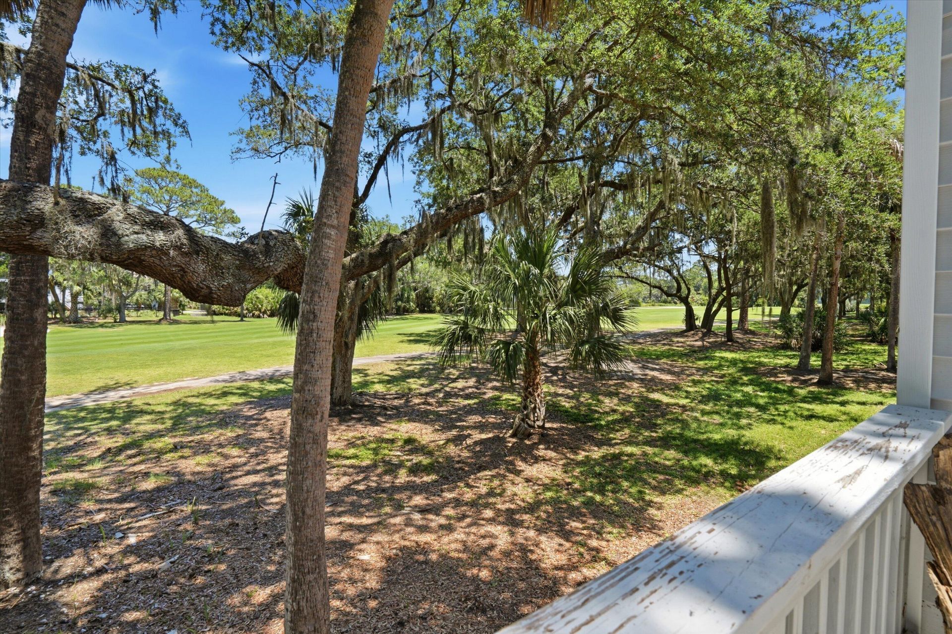 260 Driftwood Lane Photo 16
