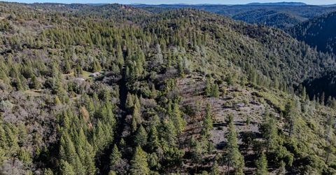 17640 Shake Ridge Rd, Sutter Creek, CA 95685 Photo