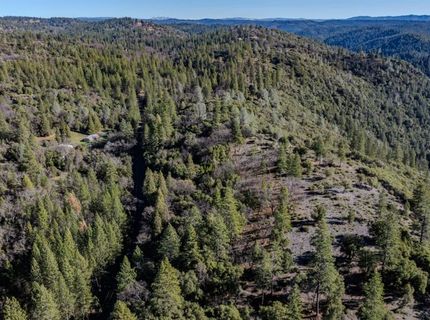 17640 Shake Ridge Rd, Sutter Creek, CA 95685 Photo