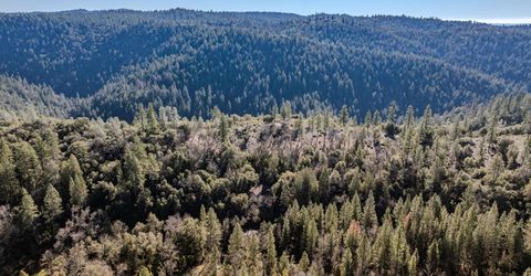 17640 Shake Ridge Rd, Sutter Creek, CA 95685 Photo