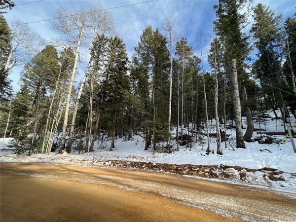 222 Banner Trail, Florissant, CO 80816
