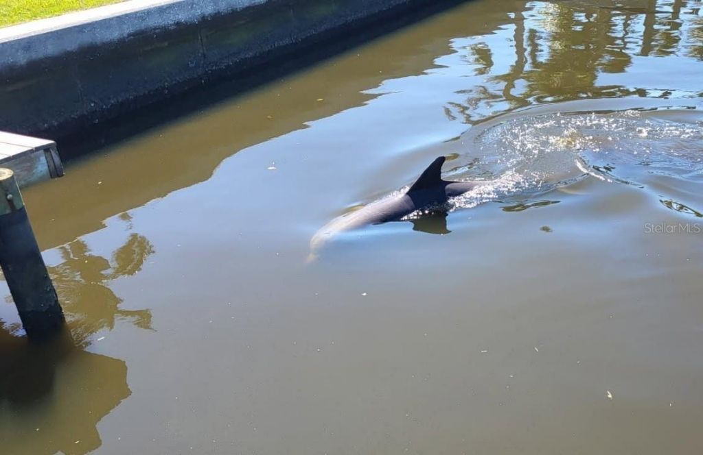 6912 7th Avenue Boulevard Nw, Bradenton, FL 34209 Photo