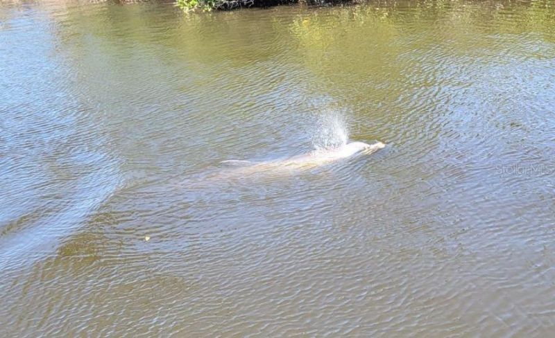 6912 7th Avenue Boulevard Nw, Bradenton, FL 34209 Photo