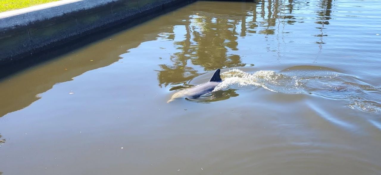 6912 7th Avenue Boulevard Nw, Bradenton, FL 34209 Photo