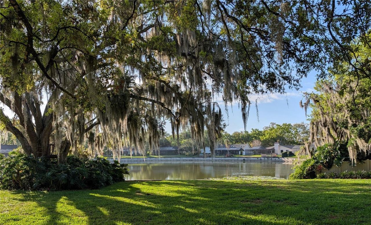 1711 Magdalene Manor Drive , Tampa, FL 33613 Photo