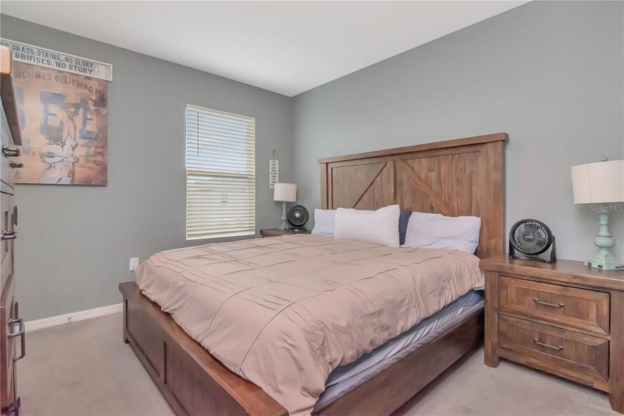 33678 Jasper Stone Dr, Wesley Chapel, FL 33543 Photo