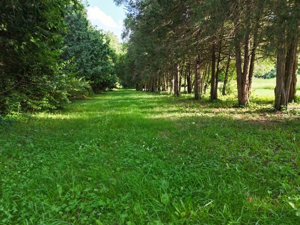 1441 W Fairview Road , Freeport, IL 61032