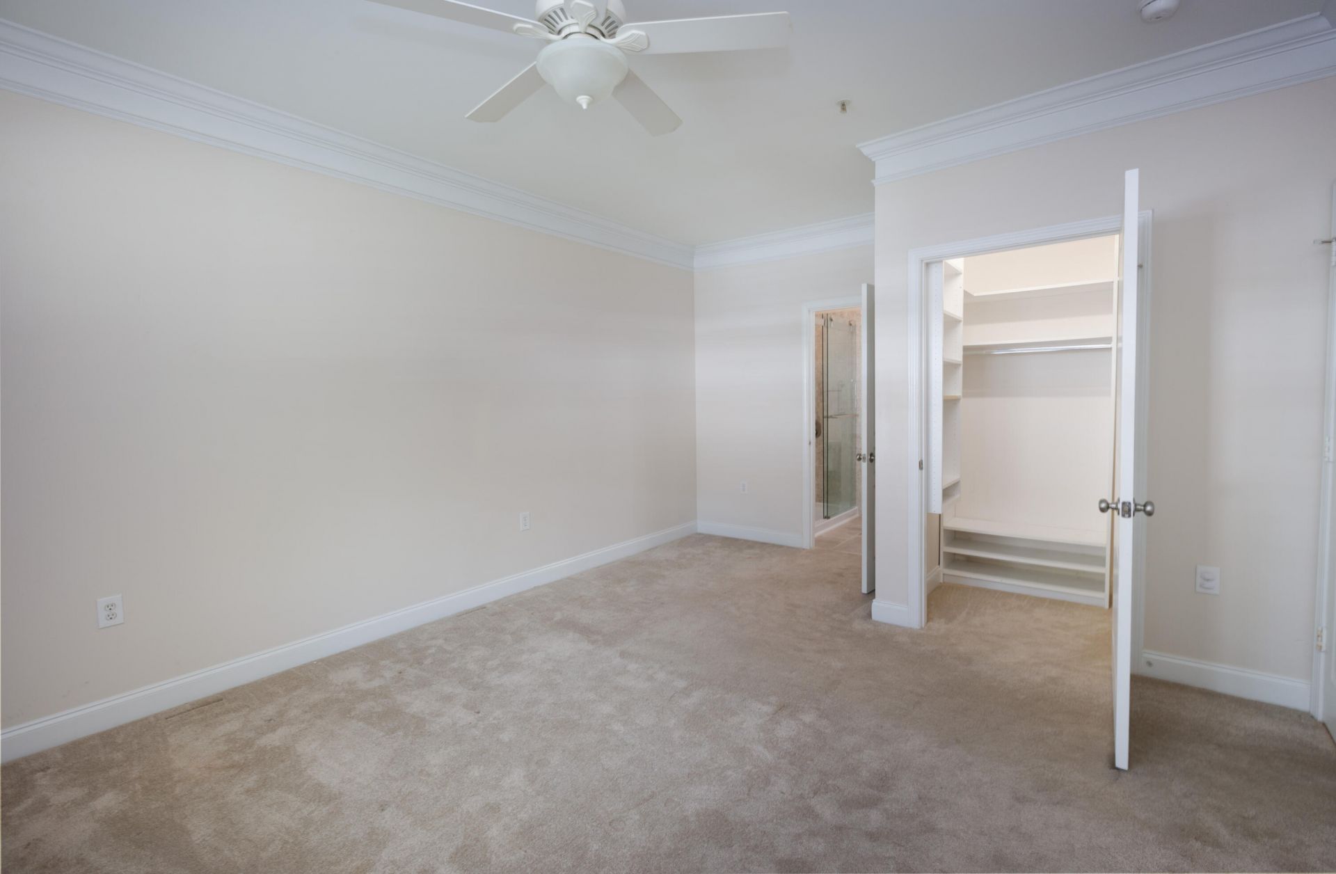 1307 Basildon Road Photo 18