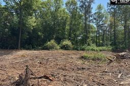 2450 Alpine Road photo 4