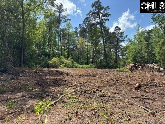 2450 Alpine Road Photo 4