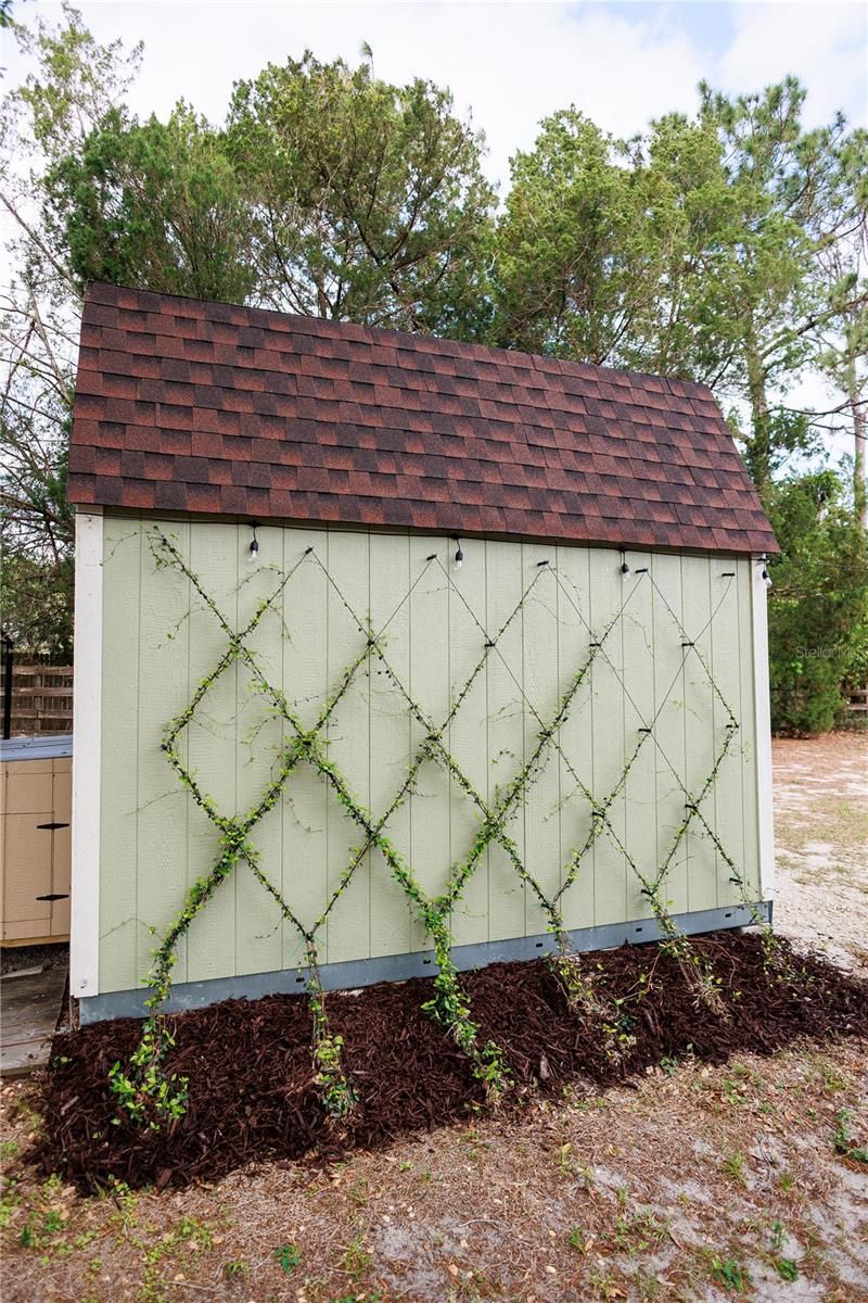 3630 Eagles Nest Road , Fruitland Park, FL 34731 Photo