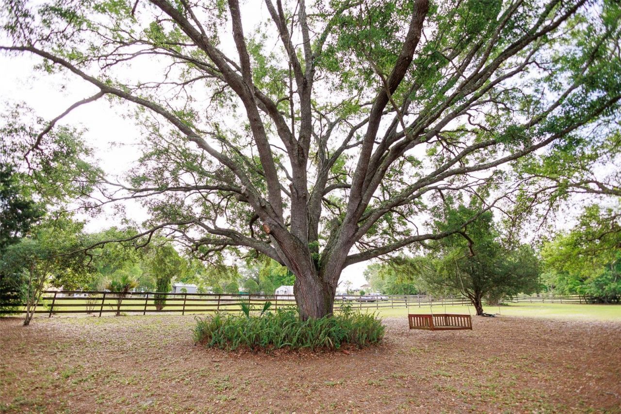 3630 Eagles Nest Road , Fruitland Park, FL 34731 Photo