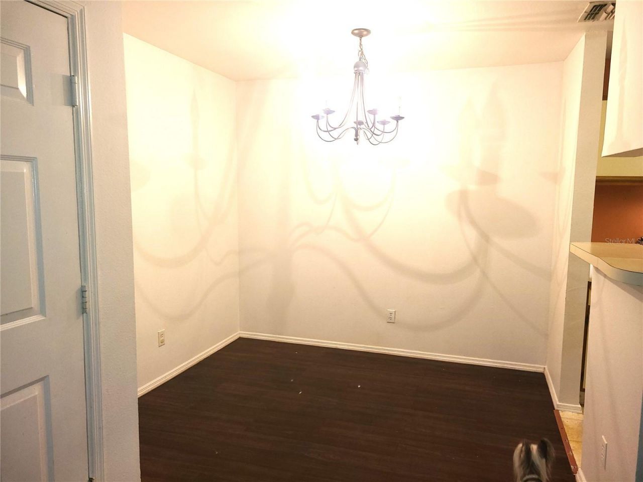 1400 Gandy Boulevard N, Unit 1111, Saint Petersburg, FL 33702 Photo