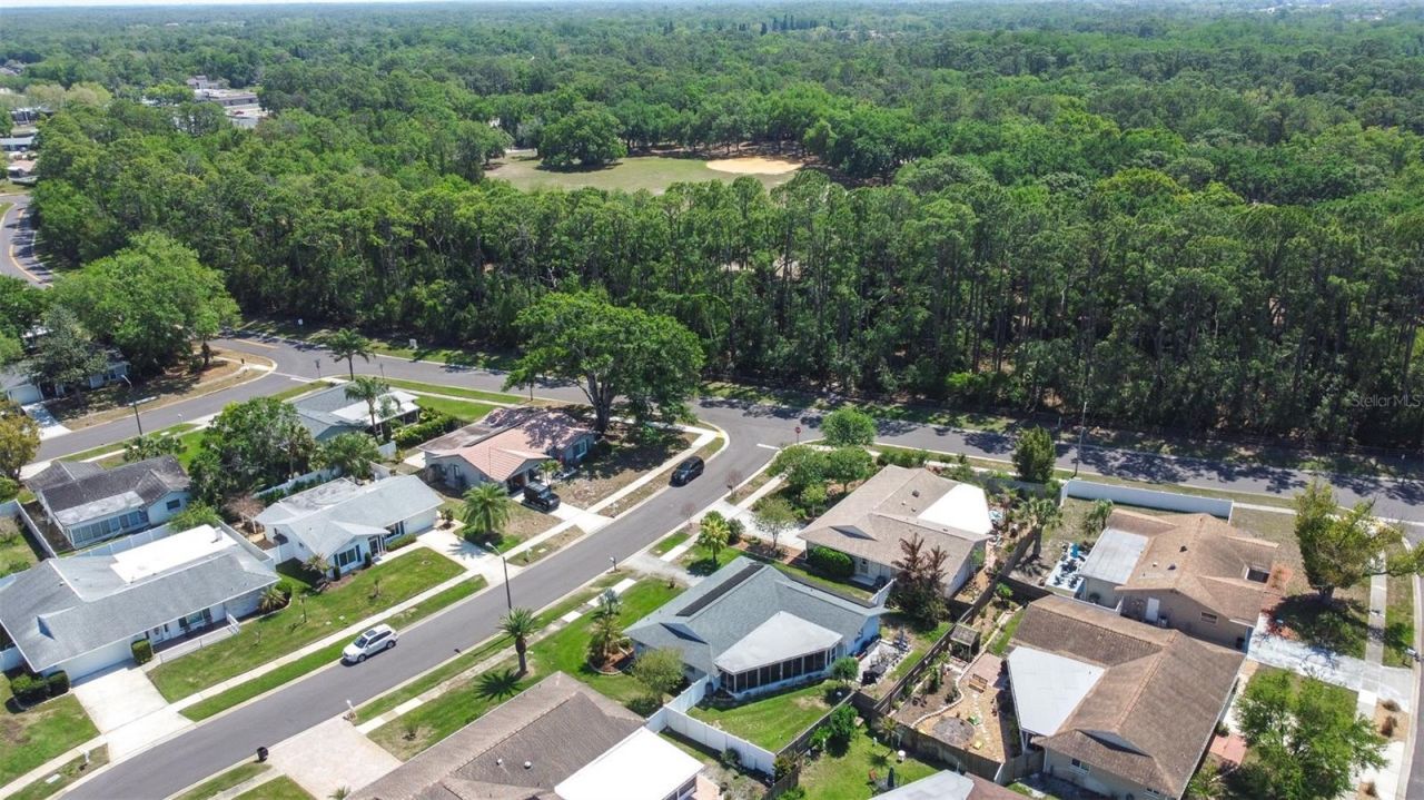 760 Pilots Way, Palm Harbor, FL 34685 Photo