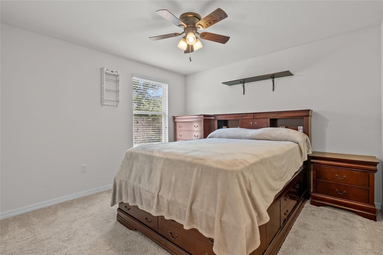 5946 81st Avenue N, Pinellas Park, FL 33781 Photo