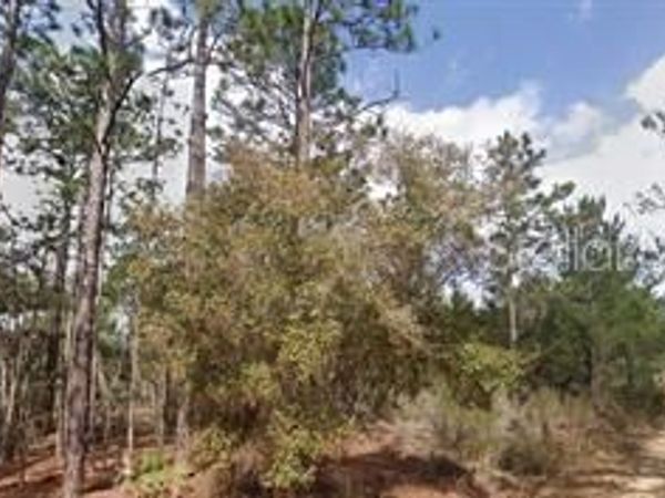 AKRON STREET , INTERLACHEN, FL 32148