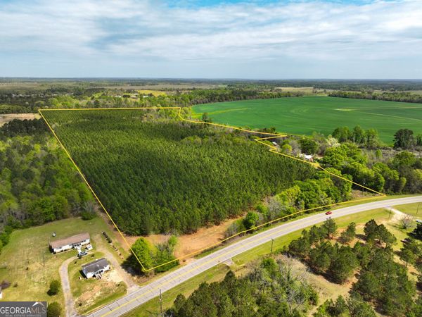 0 Hwy 26, Hawkinsville, GA 31036