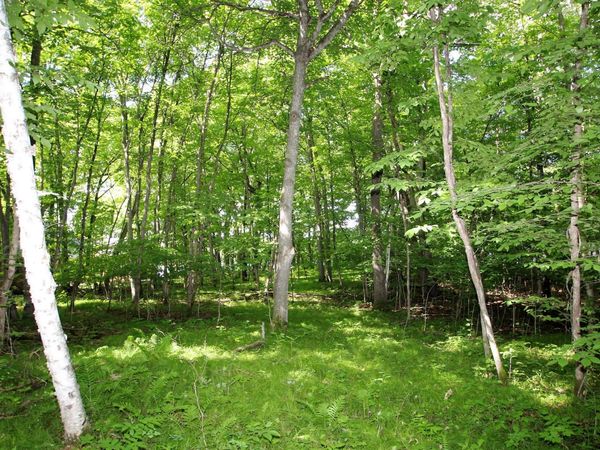 4967X Fish Lake Road , Pelican Rapids, MN 56572