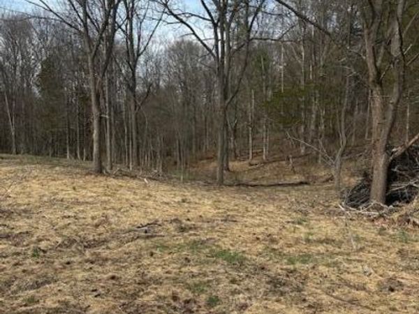 Lot 3 High Falls Road, Catskill, NY 12414