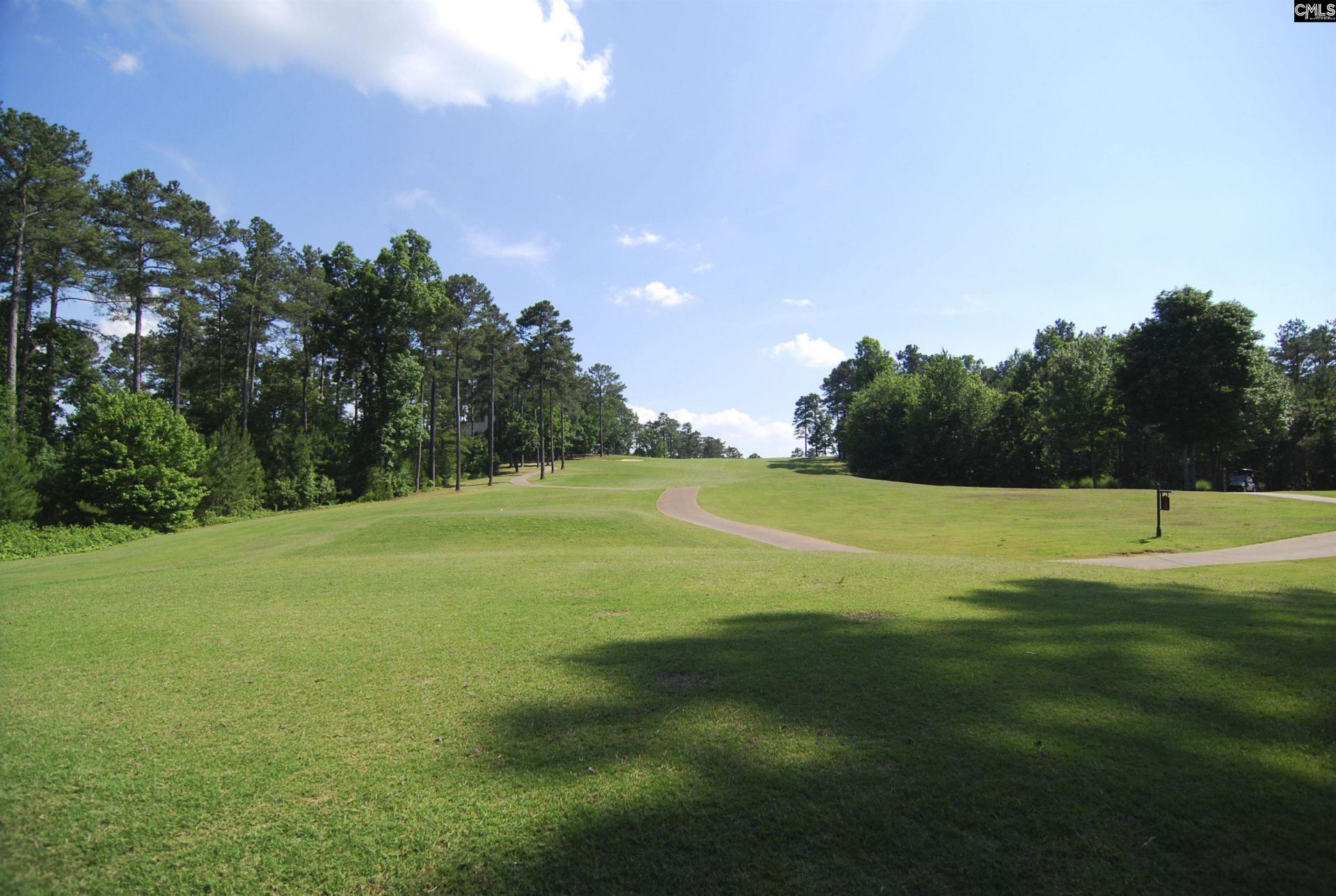 209 High Pointe Drive Photo 58